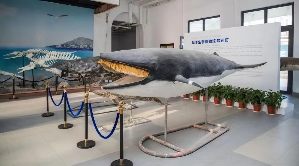 微信图片_20230916204738.jpg